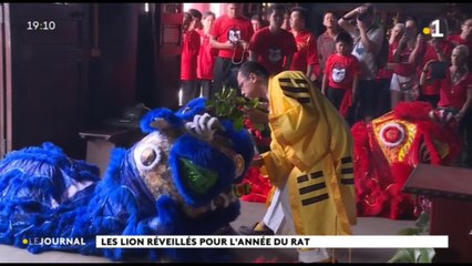 Nouvel an chinois : les lions se réveillent
