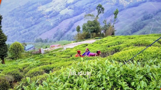 SILIGURI Top 10 Tourist Places | Siliguri Tourism | WEST BENGAL | INDIA