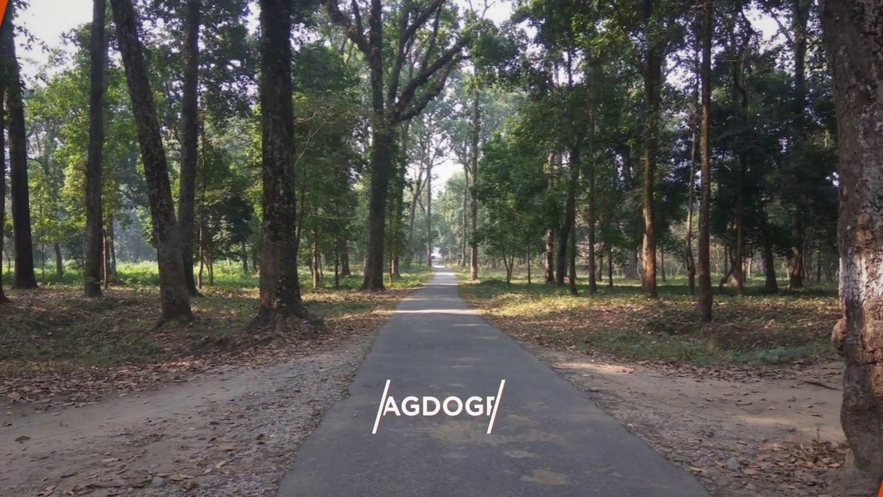 "BAGDOGRA" Top 4 Tourist Places | Bagdogra Tourism | WEST BENGAL | INDIA