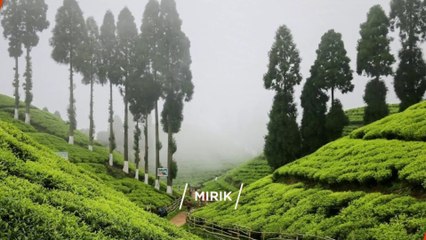 "MIRIK" Top 7 Tourist Places | Mirik Tourism | WEST BENGAL | INDIA