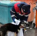 Temizlik işçisi yağmurdan ıslanan köpeği kuruladı, içleri ısıttı