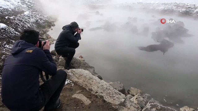 Mandaların eksi 10 derecede kaplıca sefası