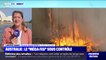 En Australie, les pompiers annoncent que le plus important "méga-feu" du pays est sous contrôle