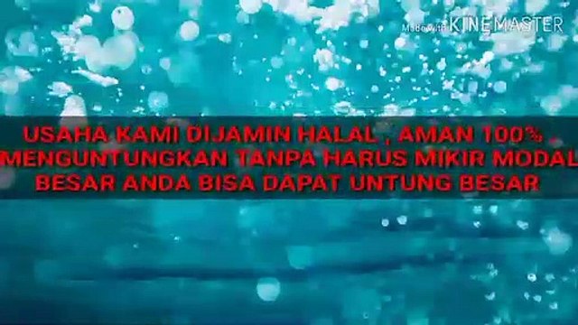 WA.0812 2770 056 (T-SEL) // Usaha Waralaba