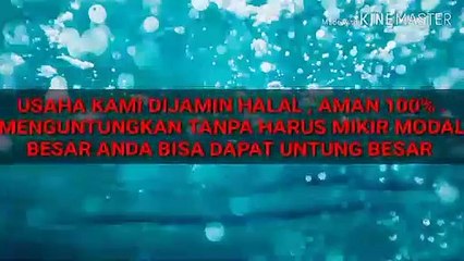 WA.0812 2770 056  (T-SEL) // Bisnis Waralaba