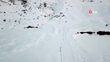 Kapan-3 Kavaklı Operasyonu başladı