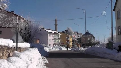 Kırağı tutan ağaçların görsel şöleni