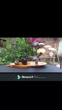 How to make pen holder coconut easy step by step | Making pen holder coconut|ART CRAFTS