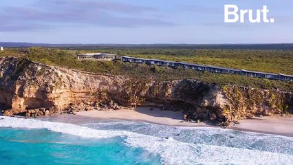 Australie : Kangaroo island, un sanctuaire de kangourous ravagé par les flammes