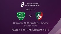 Pau v Leicester Tigers