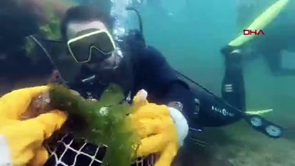 Marmara Denizi'nde kirlilik alarmı!