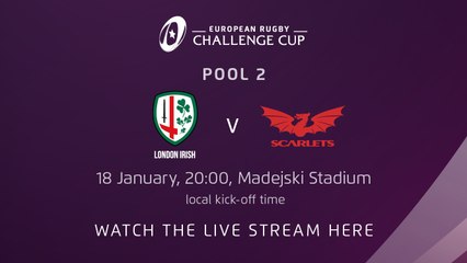 London Irish v Scarlets