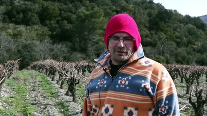 Programme OstéArt organisé par la MSA Grand Sud : témoignages de viticulteurs