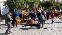 Un caballo queda atrapado en el coche frente a la Catedral de Sevilla