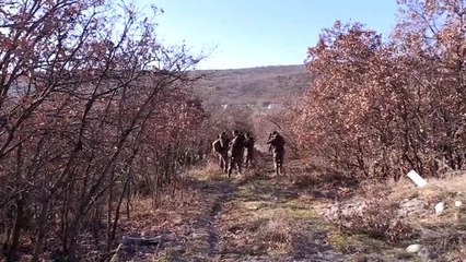 Kaybolan üniversite öğrencisi özel harekat timlerince aranıyor