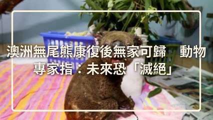 CollectionVideo-petmao_curation-copy1-PetsMaoParser-2020/01/13-09:30