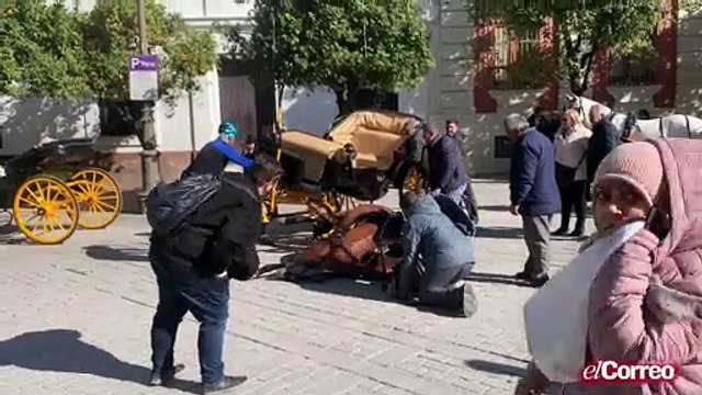 Un nuevo incidente con los coches de caballos turísticos en los alrededores de la Catedral de Sevilla