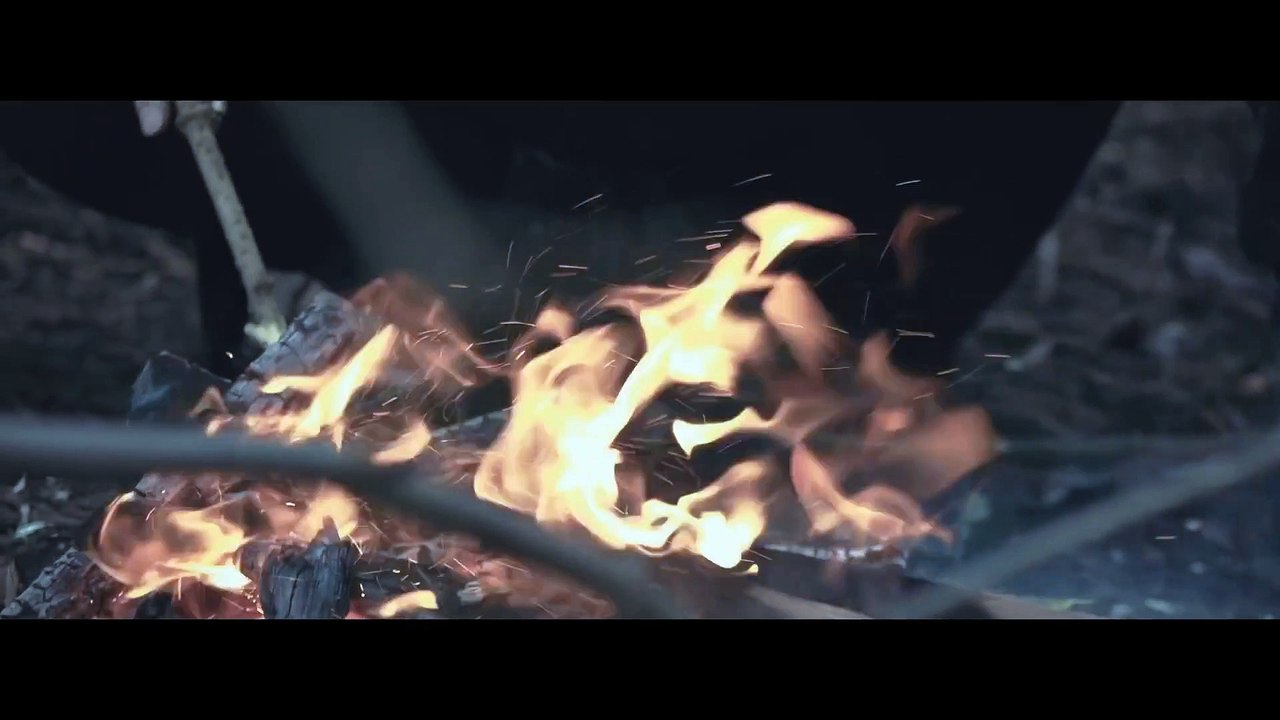 Toss a Coin to your Witcher Cover - The Witcher (MoonSun)