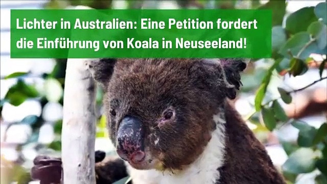 Internationale Nachrichten der Woche 13012020