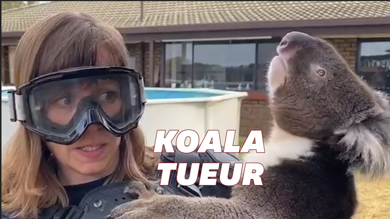 Cette journaliste piégée par son équipe en Australie a eu une sacrée frousse