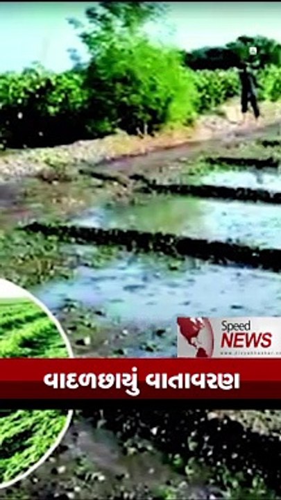 સૌરાષ્ટ્ર કચ્છમાં ફરી માવઠું થતું ખેડૂતોની ચિંતામાં વધારો થયો છે