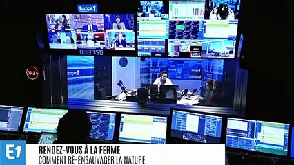 Réensauvager la nature pour lutter contre le réchauffement climatique