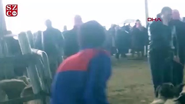 Kesemediği deveyle gündeme gelmişti! Hayvan borsasını bir birine kattı