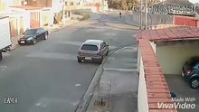 Dupla de cães da raça "filhosdamae" perseguem ciclista e causam acidente