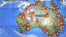 ऑस्ट्रेलिया में लगी आग आपको रुला देगी ! Facts You Need To Know About Australia Wildfire.