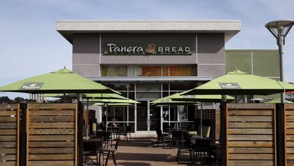Panera Bread Commits to Making Half of Its Menu Plant-Based