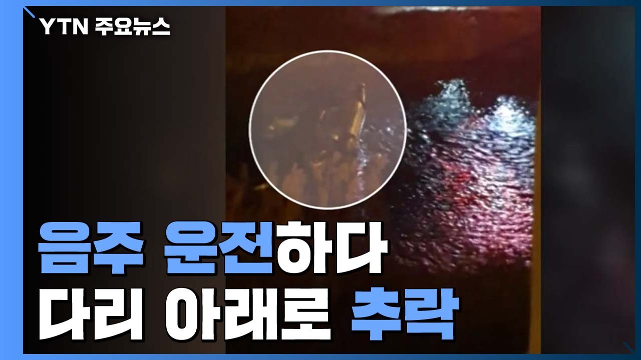 [영상] 음주 운전하다...난간 뚫고 다리 아래로 추락 / YTN