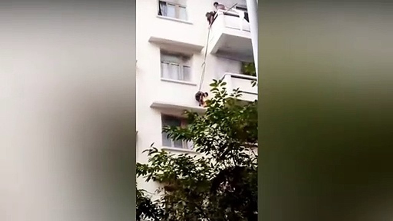 Cette grand-mère chinoise suspend son petit-fils à une corde pour qu'il récupère son chat... risqué