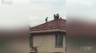 Des enfants chinois jouent sur le toit d'un immeuble... au 35ème étage. Vertigineux