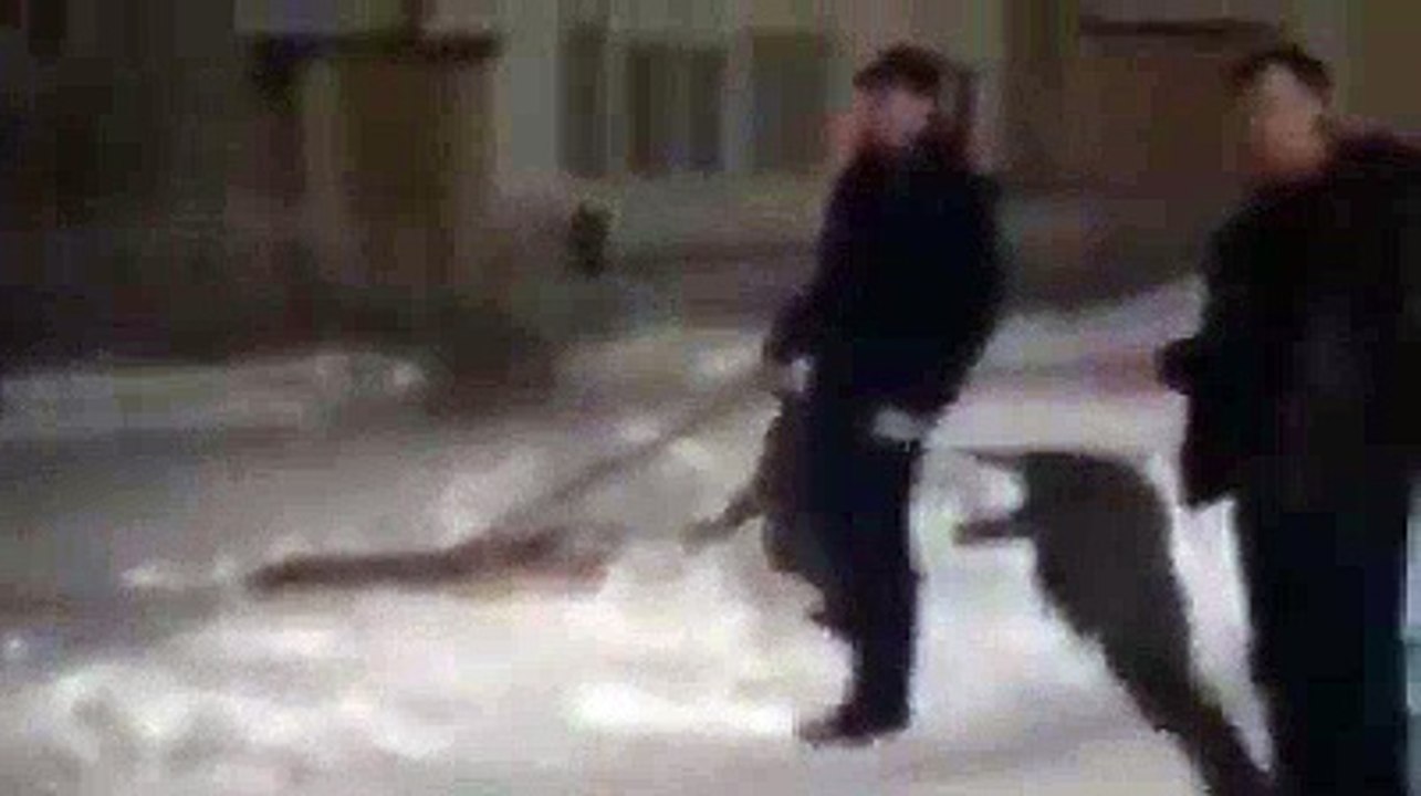 Quand t'as pas d'argent pour le feu d'artifice... Bonne année !