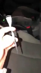 Une souris se cache dans la voiture !