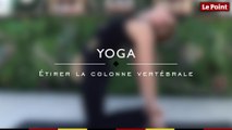 Les essentiels du yoga #25 - étirer la colonne vertébrale