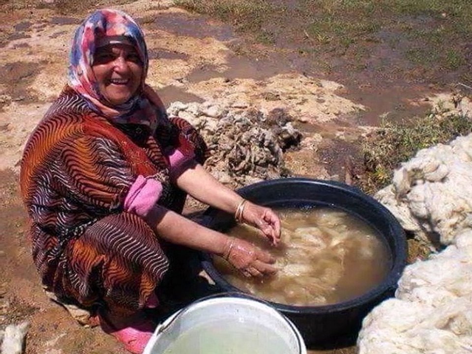 مشـاهد إنقرضت و مشـاهد في طريق الإنقراض .. 　 صور رااااائعة ❤️  03