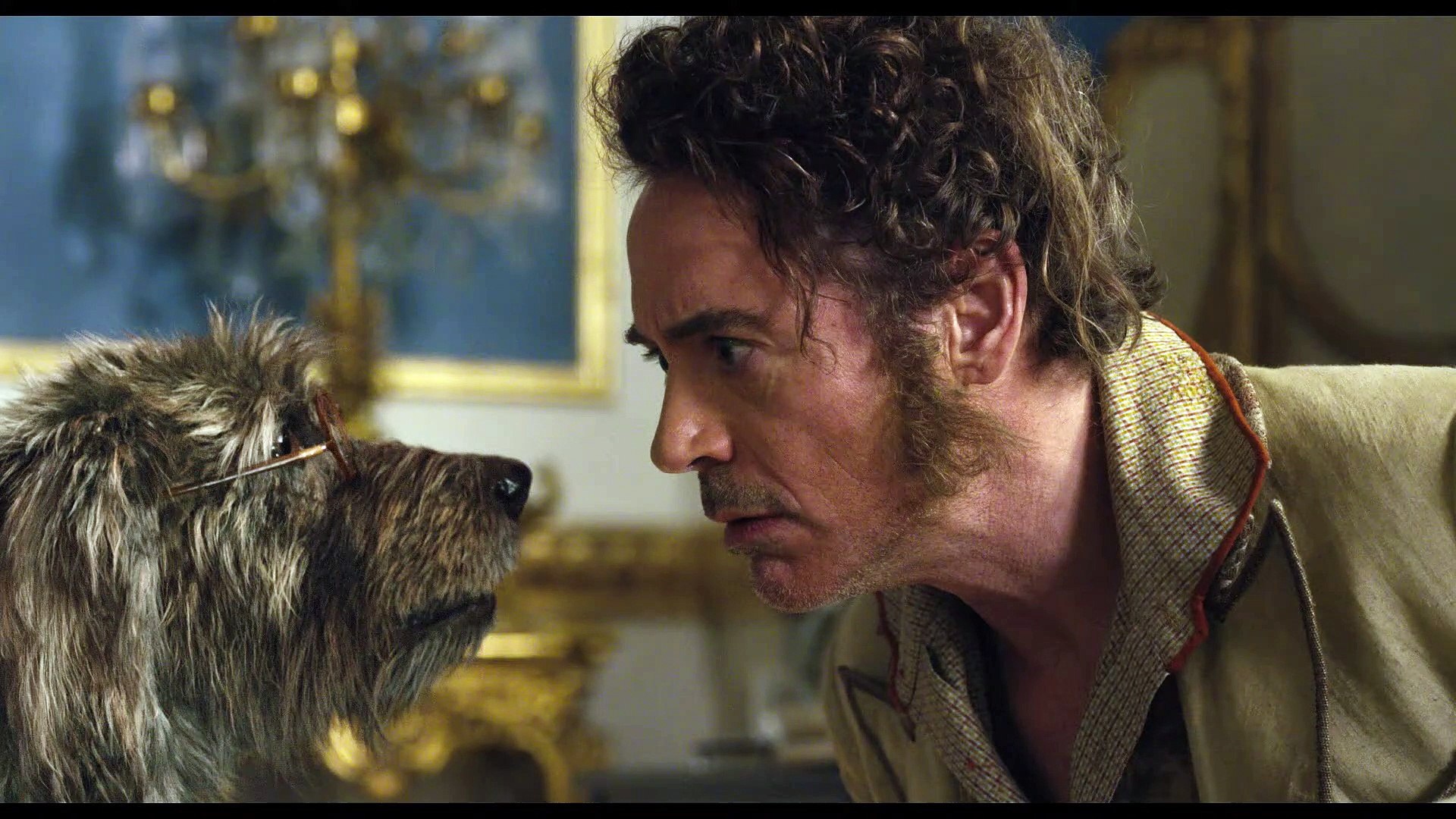 Dolittle movie Meet Jip Tom Holland
