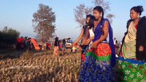 tharu dance video nepal 2020