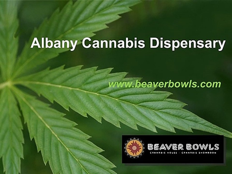 Check out Marijuana Store Albany