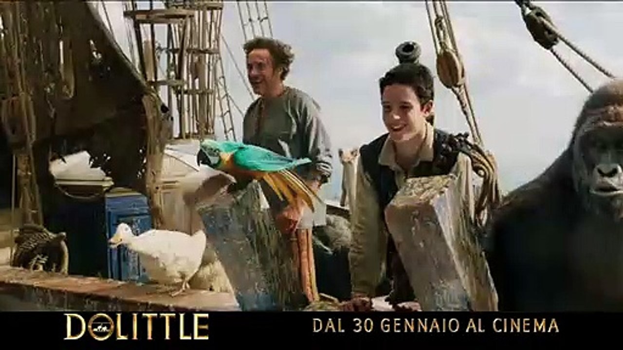 Dolittle Film - Un gatto è sempre un gatto