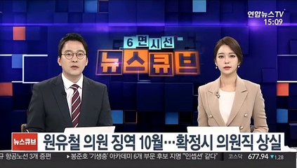 원유철 의원 징역 10월…확정시 의원직 상실