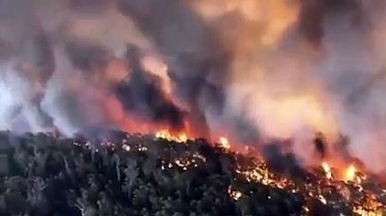 Australia Wildfire in the forest Horrible Footage