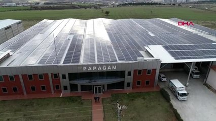Çanakkale fabrikasının çatısına ikinci fabrikayı kurdu, ayda 100 bin lira kazanıyor