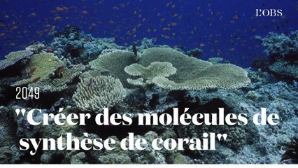 Download Video: Une idée pour sauver les océans : créer des molécules de synthèse provenant des coraux, par Rachid Benchaouir