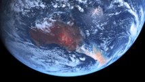 Incendios en AUSTRALIA: fake news, cambio climático y koalas en peligro