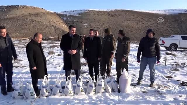 Av ve yaban hayvanları için doğaya yem bırakıldı - SİVAS