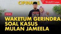 Waketum Gerindra soal Dugaan Kasus Mulan Jameela