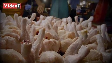 الموت على أجنحة الإهمال.. نقل وذبح الطيور بؤر نشر للأمراض