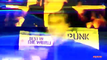 CM Punk vs The Shield Highlights TLC 2013